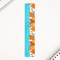 Подарочный набор &laquo;Кото-Подарочный набор&raquo;, 5 предметов