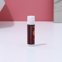 Подарочный набор косметики &laquo;Чудес в Новом Году!&raquo;, бальзам для губ, 5 х 10 г, ЧИСТОЕ СЧАСТЬЕ