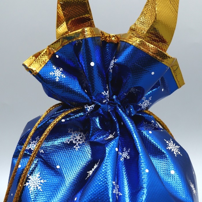 Пакет-мешок из нетканного материала «Новогодняя компания», 25 х 32 см, Новый год Пакет-мешок из нетканного материала «Новогодняя компания», 25 х 32 см, Новый год