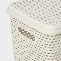 Ящик для хранения с крышкой &laquo;Ротанг&raquo;, 23 л, 45&times;30&times;26,5 см, цвет белый