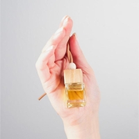 Ароматизатор подвесной в бутылочке размер XXL &laquo;Антитабак&raquo;