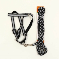 Комплект "Плетенка", флуоресцентный, поводок 115 х 1 см, ОГ 32-48 х 1,5 см, чёрный