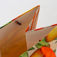 Новый год. Пакет подарочный новогодний под бутылку «Апельсины», 13 x 36 x 10 см. Новый год. Пакет подарочный новогодний под бутылку «Апельсины», 13 x 36 x 10 см.