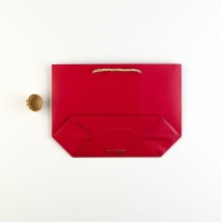 Пакет подарочный, упаковка, «Поздравляю», 19 х 20 х 9 см Пакет подарочный, упаковка, «Поздравляю», 19 х 20 х 9 см