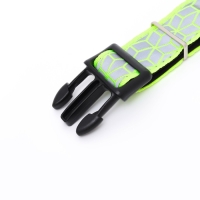 Ошейник со светоотражающим орнаментом, 55 х 2,5 см, салатовый