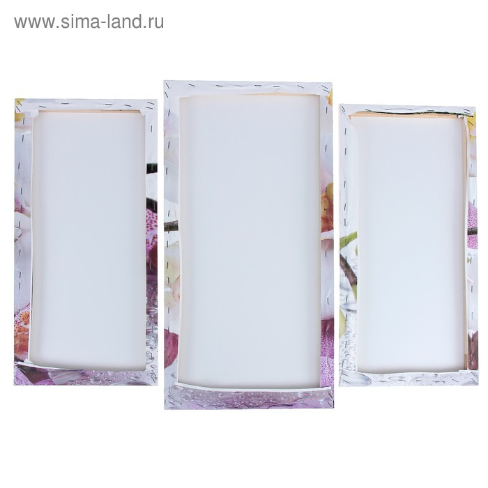 Модульная картина "Краповая орхидея"  (2-25х52; 1-30х60) 60х80 см