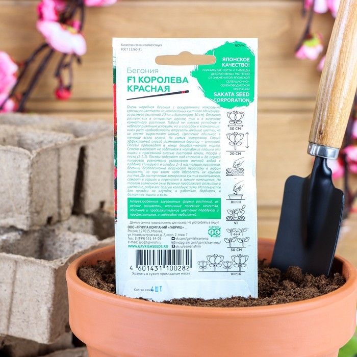 Семена цветов Бегония Семена цветов Бегония "Королева красная", F1, вечноцветущая, серия Саката, 4 шт