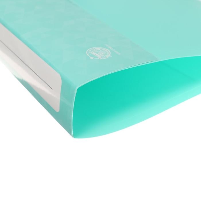 Папка на 2 кольцах А4 Calligrata, 40мм, 700мкм, карман на торце, ледяной зеленый