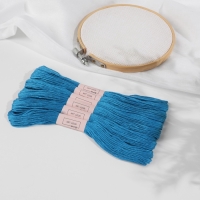 Набор ниток мулине №3843, 8 &plusmn; 1 м, 6 шт, цвет ярко-голубой