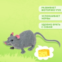 Фигурка-тянучка &laquo;Животные со всего света&raquo;, МИКС