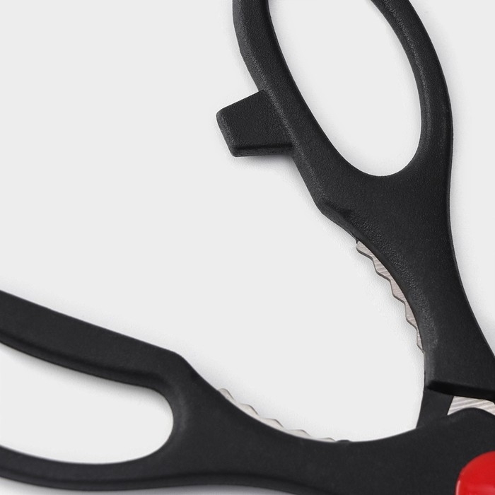 Набор ножей кухонных на подставке Доляна &laquo;Металлик&raquo;, 7 предметов: 5 ножей, мусат и ножницы, цвет серебристый