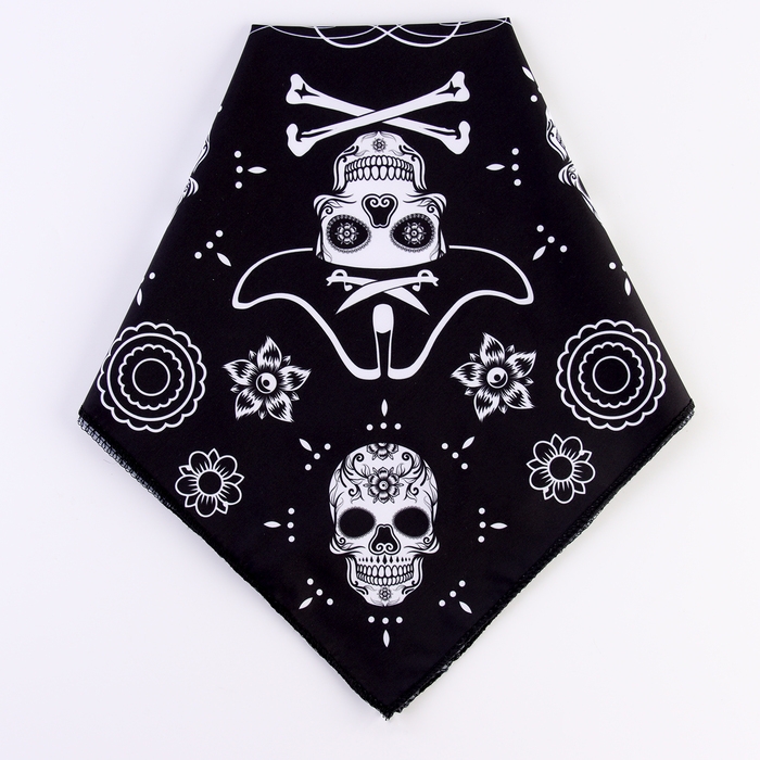Бандана &laquo;Пират&raquo;, взрослая, 50х50 см