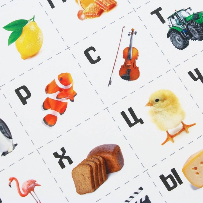 Набор обучающих плакатов &laquo;Изучаем мир&raquo;, 10 в 1, А4