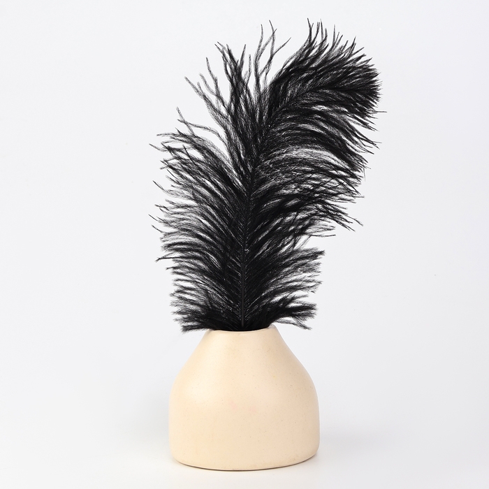 Перо для декора, размер: 30-35 см, цвет чёрный Перо для декора, размер: 30-35 см, цвет чёрный