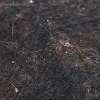 Пояс из собачьей шерсти (круговой), р-р 58-60 Пояс из собачьей шерсти (круговой), р-р 58-60