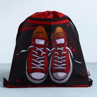 Мешок для обуви &laquo;Кеды&raquo; 2 секции, 30 х 40 см