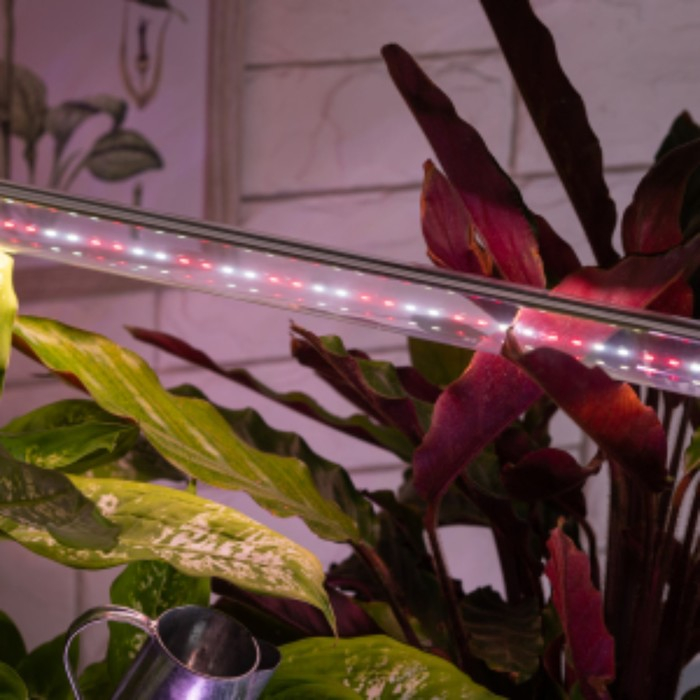 Фитолампа светодиодная, 9 Вт, 600 мм, IP20, полный спектр, бело-красная, &laquo;ЭРА&raquo;