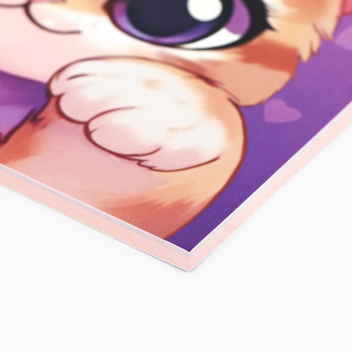 Личный дневник для девочки А5, 50 л. «Мой личный дневник. Котик» Личный дневник для девочки А5, 50 л. «Мой личный дневник. Котик»