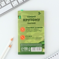 Подарочный набор &laquo;23 февраля!&raquo;, планинг-стикеры 30 л, ручка пластик