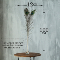 Перо павлина для декора, 1 шт.