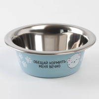 Миска для кошек и собак из нержавеющей стали «Обещай кормить меня вечно», 240 мл, 11 х 4 см Миска для кошек и собак из нержавеющей стали «Обещай кормить меня вечно», 240 мл, 11 х 4 см