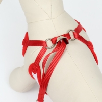 Комплект с мягкой шлейкой и бантиком "Якорь", размер S, поводок 120 x 1,5 см, ОГ 23-42 см, красный Комплект с мягкой шлейкой и бантиком "Якорь", размер S, поводок 120 x 1,5 см, ОГ 23-42 см, красный