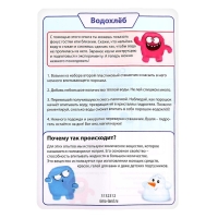 Набор для опытов &laquo;Водохлёб и снег&raquo;