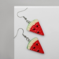 Серьги пластик «Вкусности» арбуз, цвет красно-зелёный Серьги пластик «Вкусности» арбуз, цвет красно-зелёный