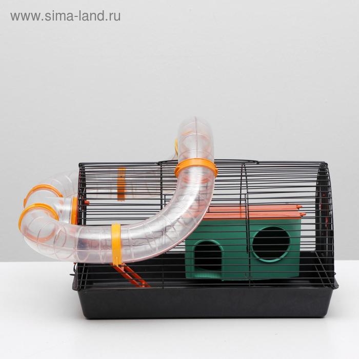 Клетка для грызунов Клетка для грызунов "Саквояж", малая, с лабиринтом, 40 х 25 х 21 см, микс цветов