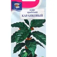 Семена цветов Кофе арабский "Карликовый", 0,8г