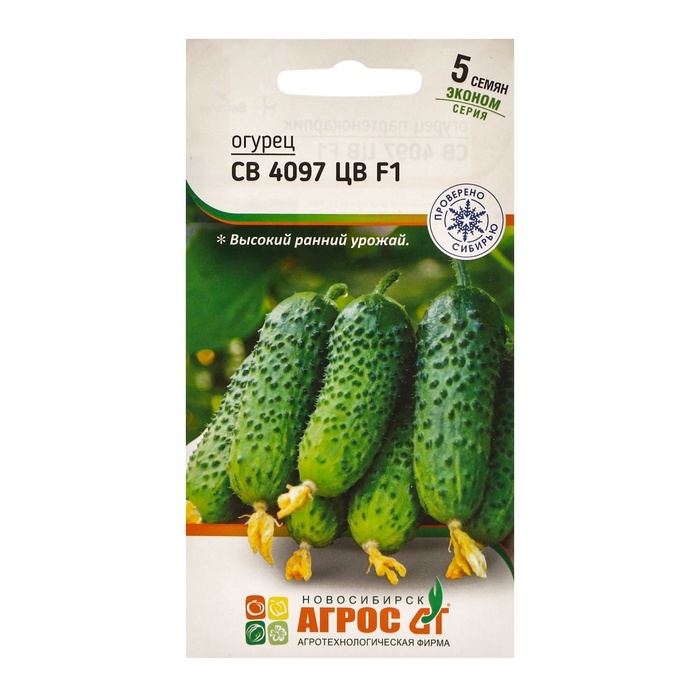 Семена Огурец Семена Огурец"СВ 4097 ЦВ"F1 5шт* ЭКОНОМ