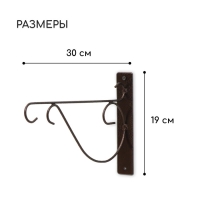 Кронштейн для кашпо, 30 см, металл, &laquo;Прут&raquo;