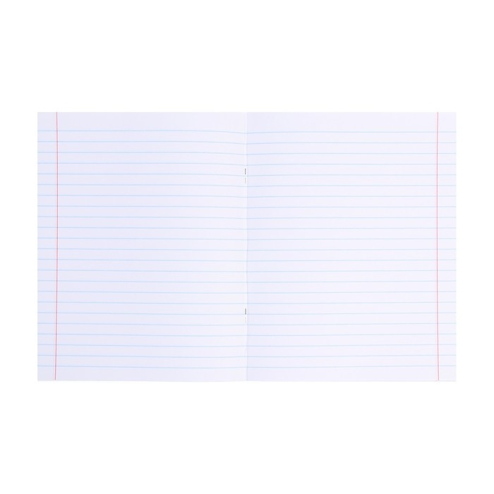 Тетрадь предметная 48 листов в линию Аниме "Литература", обложка мелованный картон, тиснение холодной фольгой, ламинация Soft-Touch, блок офсет