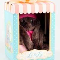 Мягкая игрушка «Зайка Li в розовой одежде» Мягкая игрушка «Зайка Li в розовой одежде»