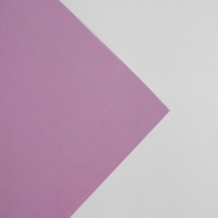 Плёнка для цветов упаковочная глянцевая прозрачная «Сиреневая», 0.6 x 10 м Плёнка для цветов упаковочная глянцевая прозрачная «Сиреневая», 0.6 x 10 м
