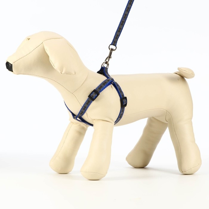 Комплект светоотражающий "Косточки",поводок 1 х 120 см,(ОШ 28-36 см,ОГ 28-36 см) синий