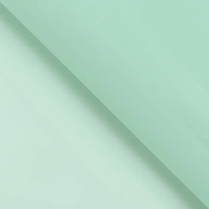 Пленка для цветов, &laquo;Серебряный кант&raquo;, зелёный пастельный, 57&times;57&plusmn;1 см