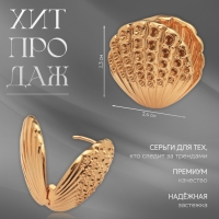 Серьги металл &laquo;Аккорд&raquo; ракушка, лучи, цвет золото