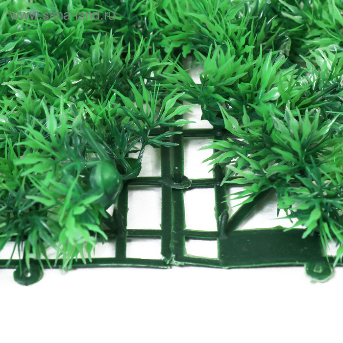 Декоративная панель, 60 &times; 40 см, &laquo;Аспарагус&raquo;, Greengo