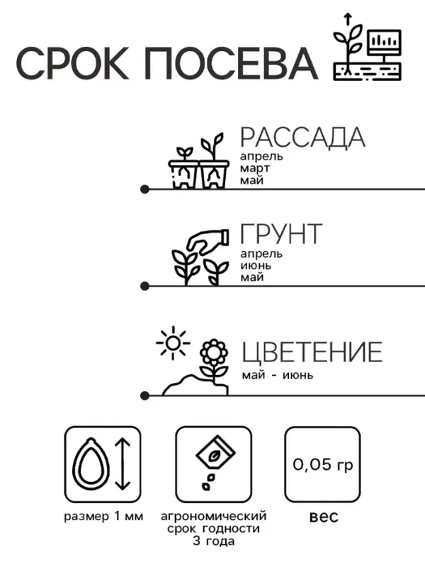 Семена Гвоздика садовая "Шабо", ц/п,  розина, 0,05 г