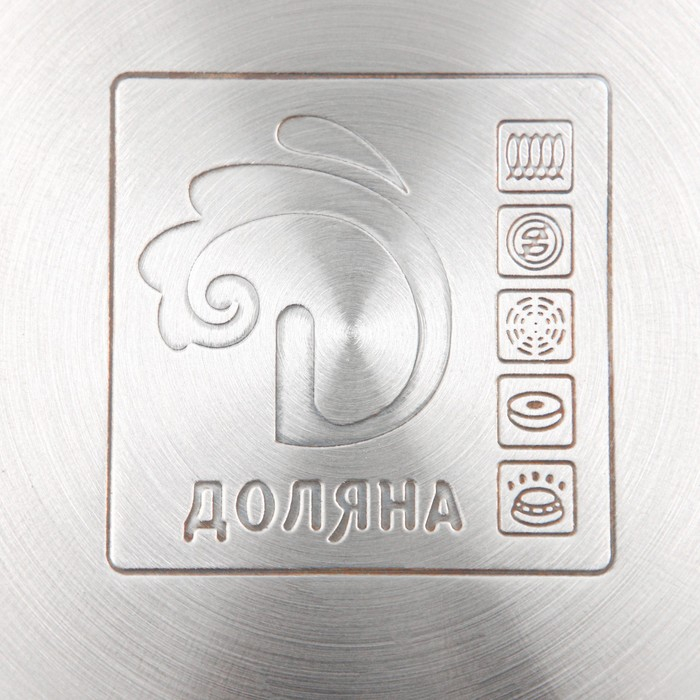 Кастрюля из нержавеющей стали Доляна &laquo;Вернер&raquo;, 2,5 л, d=18 см, с крышкой