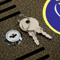 Ящик почтовый с замком, горизонтальный &laquo;Широкий&raquo;, бронзовый