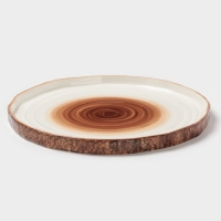 Тарелка плоская Magistro "Wood" 25см 25,3х1,8 см
