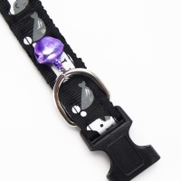 Ошейник "Котята", 40 х 1,5 см, черный