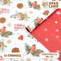 Бумага упаковочная глянцевая двусторонняя "Снегири", 70 х 100 см