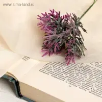 Букет искусственный &laquo;Двухцветная травка&raquo;, с напылением, 18 см, МИКС