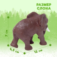 Фигурка животного &laquo;Со всего света-3&raquo;, МИКС