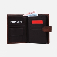 Портмоне мужское на кнопке, 3 в 1, для автодокументов, паспорта, карт, купюр, цвет коричневый