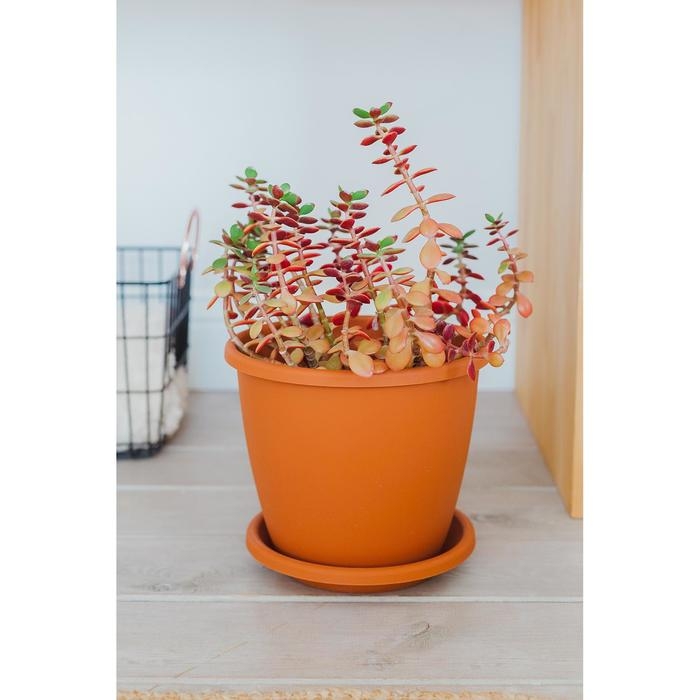 Горшок для цветов с поддоном «Афина», 5,5 л, пластиковый, цвет коричневый Горшок для цветов с поддоном «Афина», 5,5 л, пластиковый, цвет коричневый