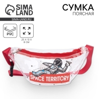 Сумка поясная «Космос» прозрачная, цвет красный Сумка поясная «Космос» прозрачная, цвет красный